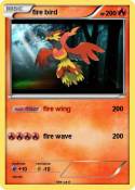 fire bird