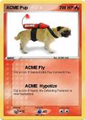 ACME Pup