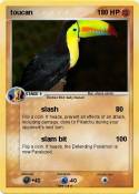 toucan