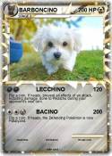 BARBONCINO