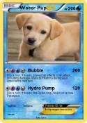 Water Pup