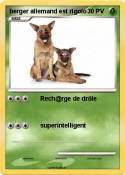 berger allemand