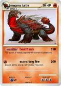 magma turtle