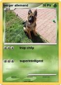 berger allemand