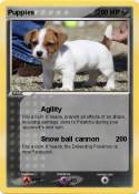 Puppies