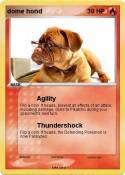 dome hond