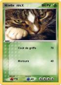 M iette niv.X 1