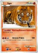 Tigre
