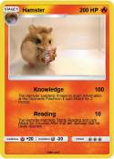 Hamster