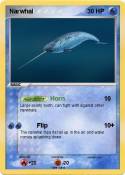 Narwhal