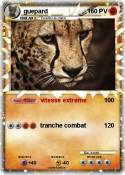 guepard