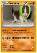 Cute Kitten