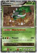 MTorterra