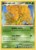 green ash