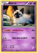 Baby cat