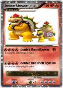 bowser&bowser