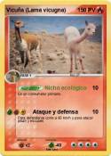 Vicuña (Lama