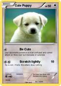 Cute Puppy