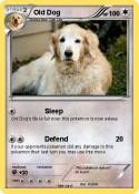 Old Dog