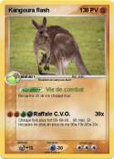 Kangoura flash