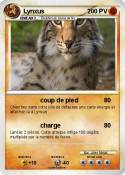 Lynxus