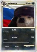 russian dog