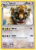 Tiger ex