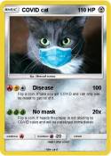 COVID cat