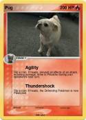 Pug