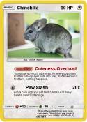 Chinchilla