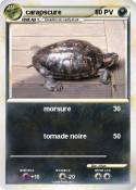 carapscure