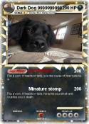 Dark Dog 999999