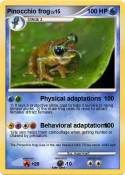 Pinocchio frog