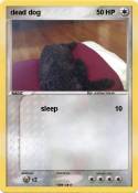 dead dog