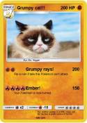 Grumpy cat!!!