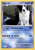 fogo