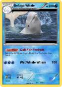 Beluga Whale