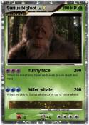 Surius bigfoot