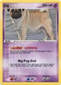 pug
