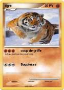 tigre