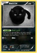Black Cat