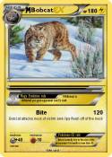 Bobcat