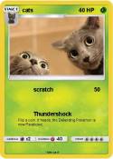 cats