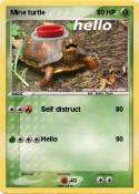 Mine turtle