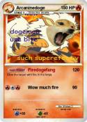 Arcaninedoge