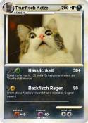 Thunfisch Katze
