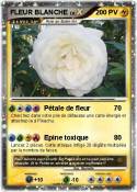 FLEUR BLANCHE