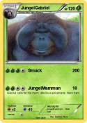 JungelGabriel