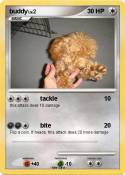 buddy