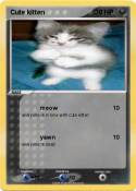Cute kitten